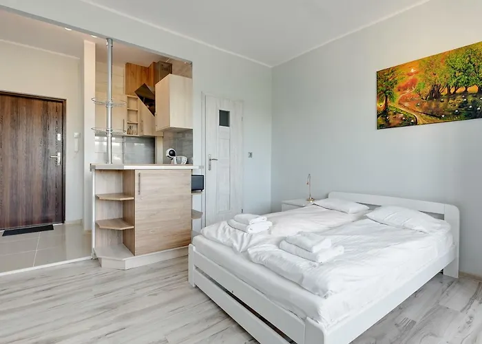 公寓 Comfort Grunwaldzka